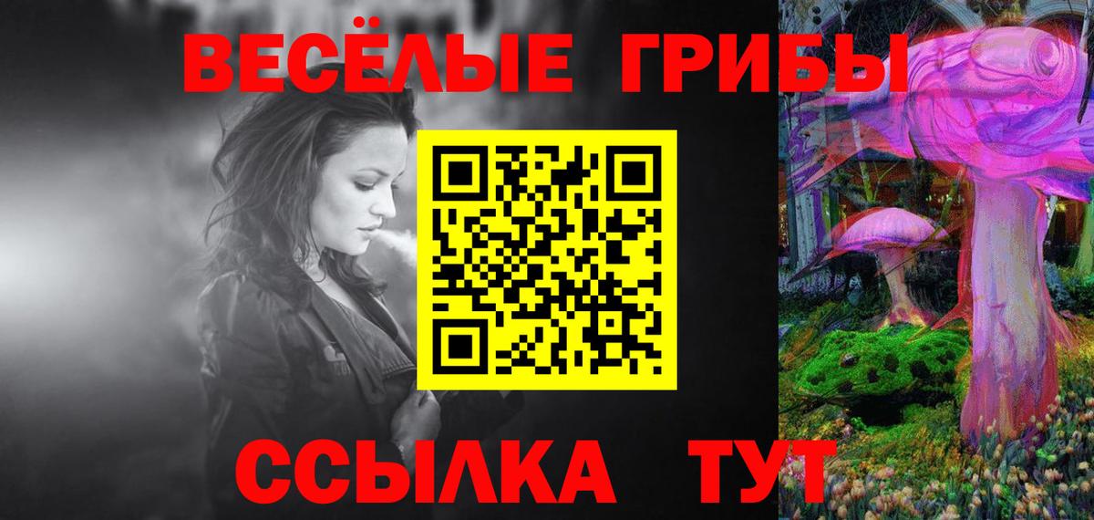 Десногорск  Псилоцибиновые грибы GOLDEN TEACHER  Вход с VPN 